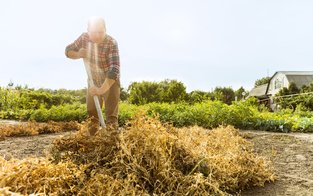 Heat Stress and Summer Safety