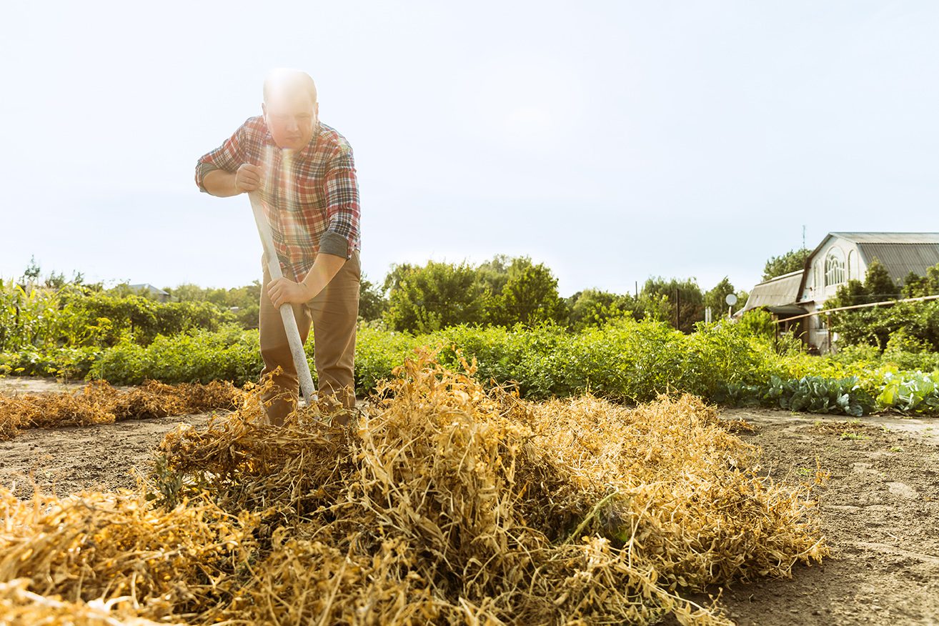 Heat Stress and Summer Safety